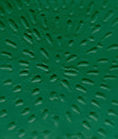 Jennifer Guidi-Art: general-買書書 BuyBookBook