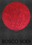 Bosco Sodi-Art: general-買書書 BuyBookBook