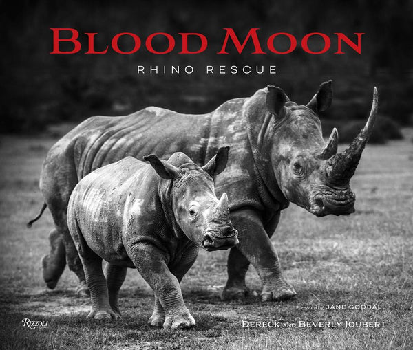 Blood Moon-Photography and photographs-買書書 BuyBookBook