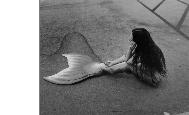 Fairy Tales US - Hardback