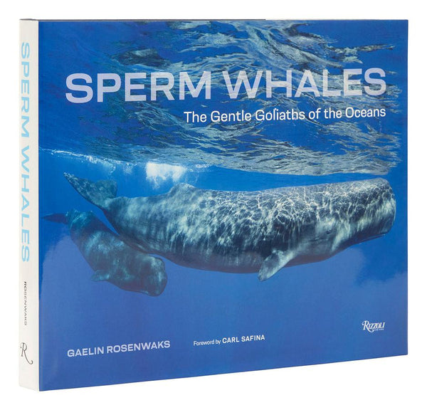 Sperm Whales-Photography and photographs-買書書 BuyBookBook