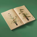 Ikebana US - Hardback