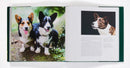 Country Life's Book of Dogs US - Hardback