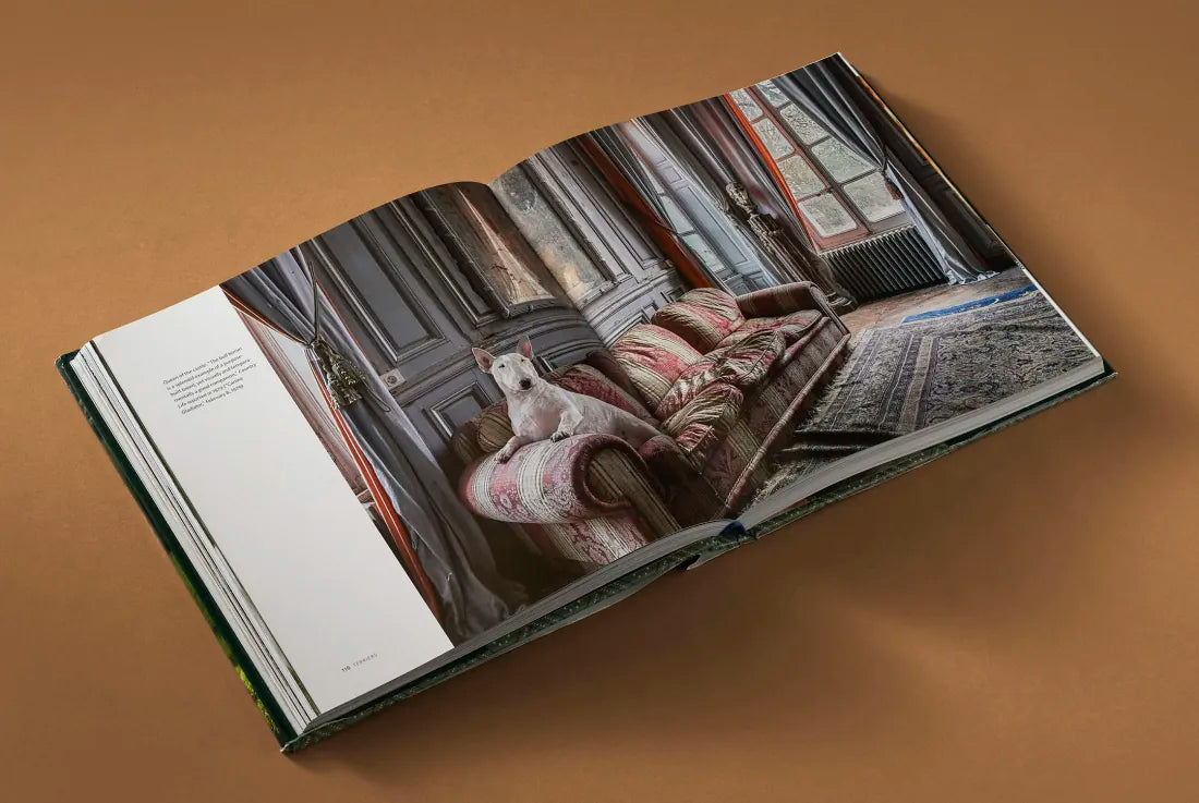 Country Life's Book of Dogs US - Hardback