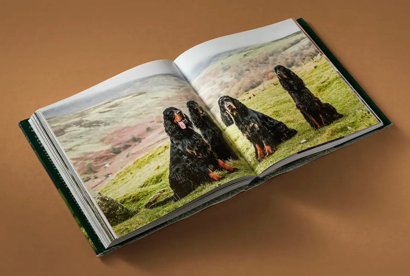 Country Life's Book of Dogs US - Hardback