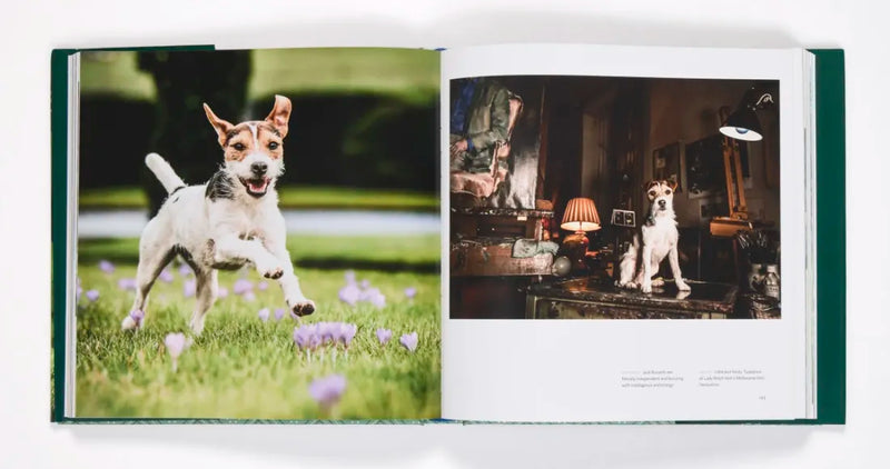 Country Life's Book of Dogs US - Hardback