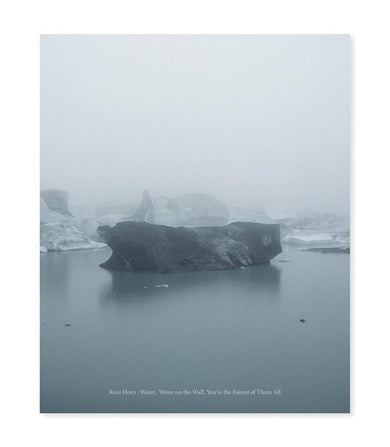 Roni Horn-Art: general-買書書 BuyBookBook