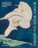Many Ways of Seeing-Art: general-買書書 BuyBookBook