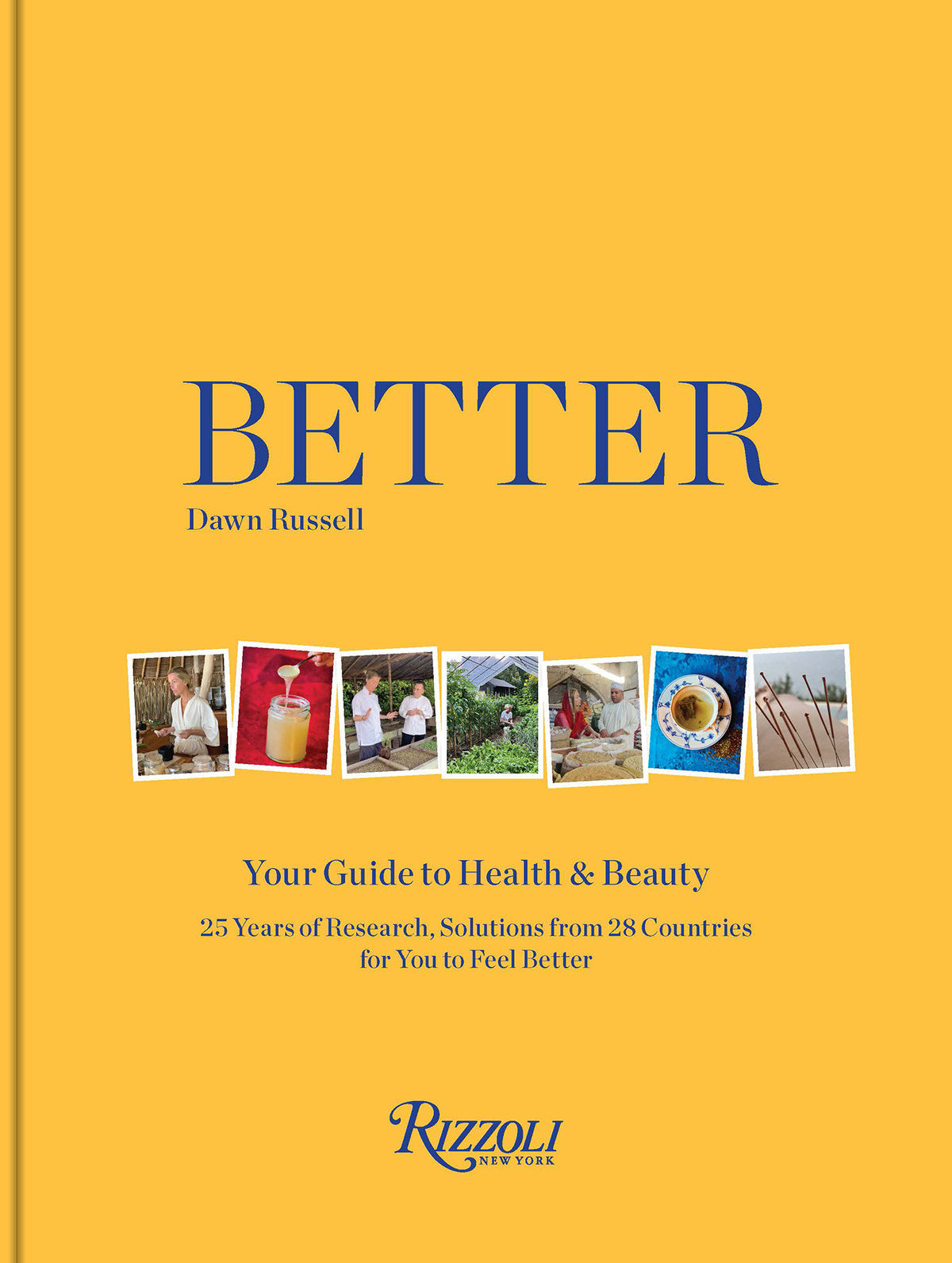 Better cover (ISBN 9780847877829)