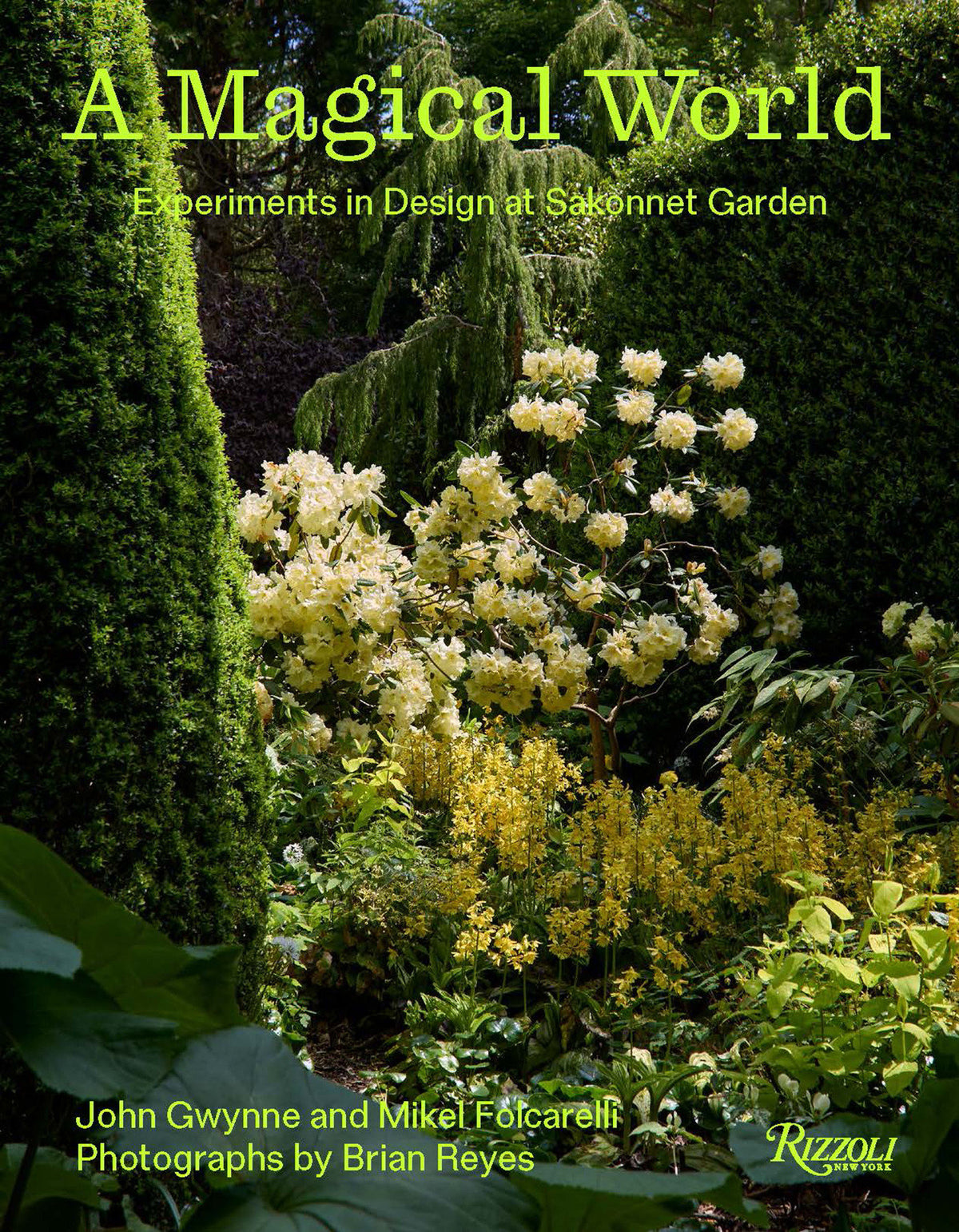 A Magical World cover (ISBN 9780847877836)
