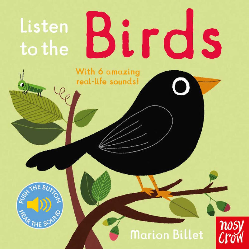 Listen to the Birds (Board Book)(Nosy Crow)-Nonfiction: 學前基礎 Preschool Basics-買書書 BuyBookBook