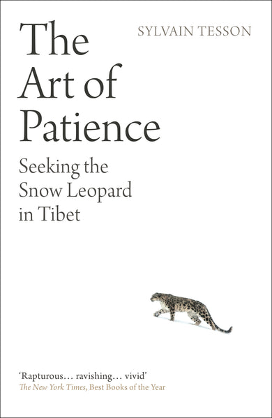The Art of Patience
