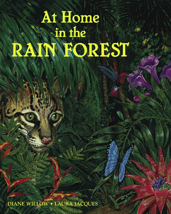 At Home in the Rain Forest-Children’s / Teenage general interest: Nature and animals-買書書 BuyBookBook