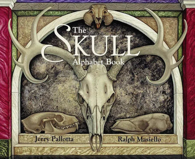 The Skull Alphabet Book-Children’s / Teenage general interest: Places and peoples-買書書 BuyBookBook