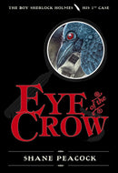 Eye of the Crow-Children’s / Teenage fiction: Action and adventure stories-買書書 BuyBookBook