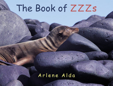 The Book of ZZZs-Children’s Early years / early learning concepts-買書書 BuyBookBook