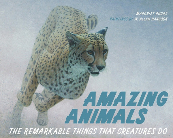 Amazing Animals-Children’s / Teenage general interest: Nature and animals-買書書 BuyBookBook