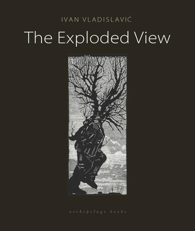 The Exploded View-Fiction: general and literary-買書書 BuyBookBook