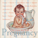 The Little Big Book of Pregnancy-Family and health-買書書 BuyBookBook
