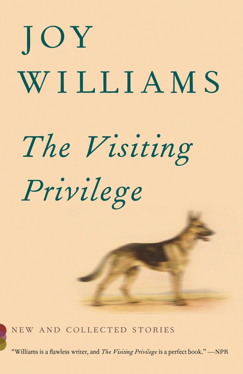 The Visiting Privilege-Fiction: Short stories and other special features-買書書 BuyBookBook