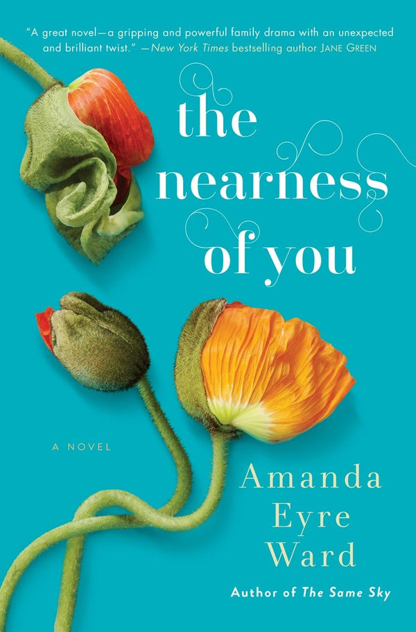 The Nearness of You-Fiction: general and literary-買書書 BuyBookBook