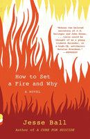 How to Set a Fire and Why-Fiction: general and literary-買書書 BuyBookBook