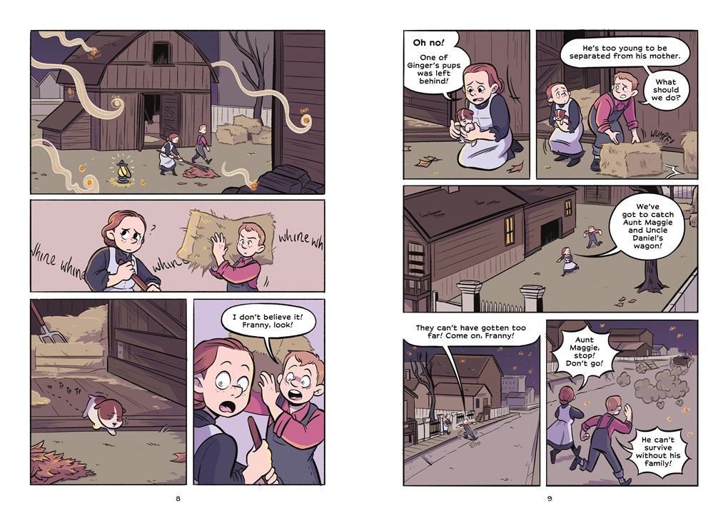 History Comics: The Great Chicago Fire