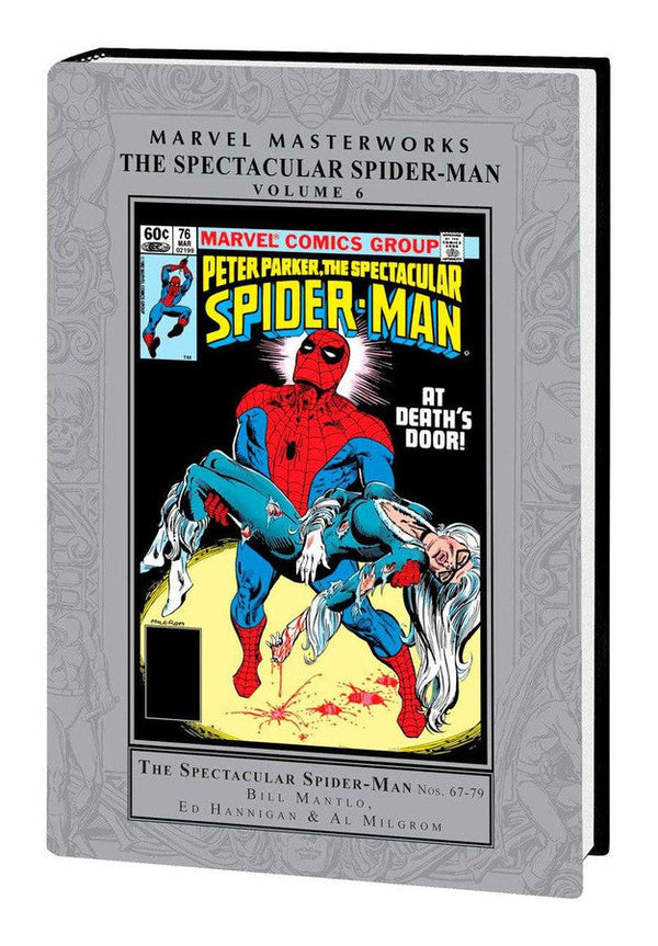 MARVEL MASTERWORKS: THE SPECTACULAR SPIDER-MAN VOL. 6-Graphic novel / Comic book / Manga: genres-買書書 BuyBookBook