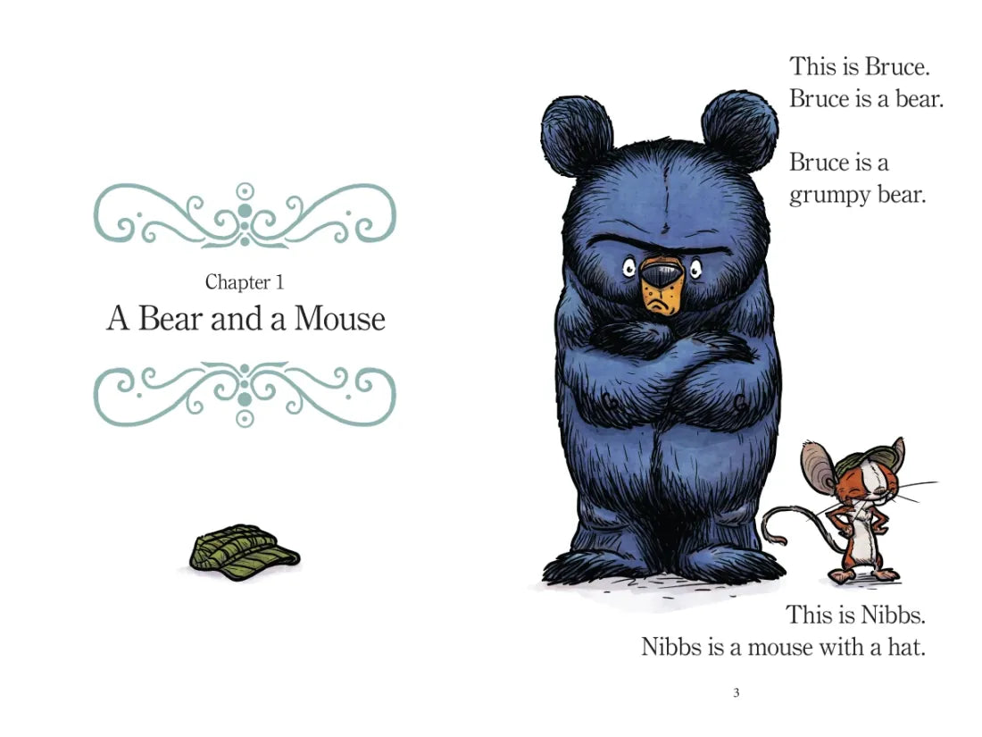 World of Reading: Mother Bruce: Bruce's Big Fun Day US - Hardback