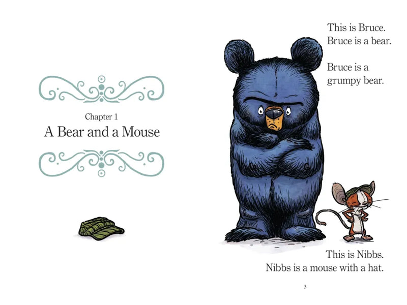 World of Reading: Mother Bruce: Bruce's Big Fun Day US - Hardback