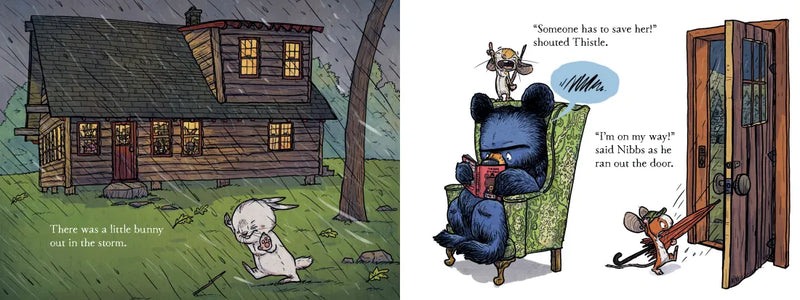 Bruce's Big Storm US - Hardback