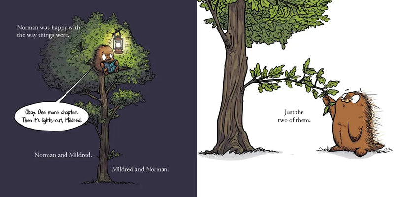 Norman Didn't Do It! US - Hardback