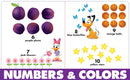 Disney Baby: First Colors, Shapes, Numbers US - Board book