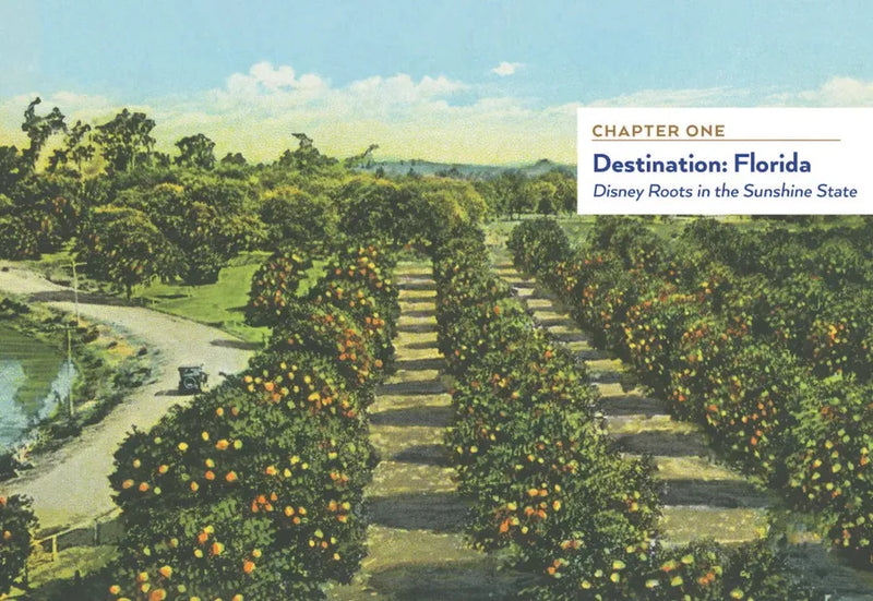 A Portrait of Walt Disney World US - Hardback