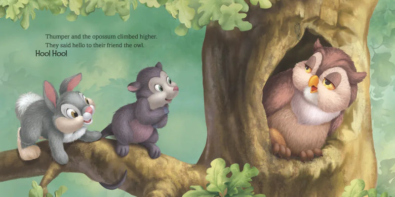 Disney Bunnies: Thumper and His Friends US - Board book