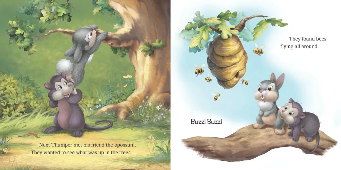 Disney Bunnies: Thumper and His Friends US - Board book