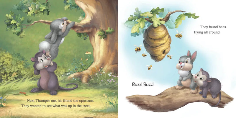 Disney Bunnies: Thumper and His Friends US - Board book