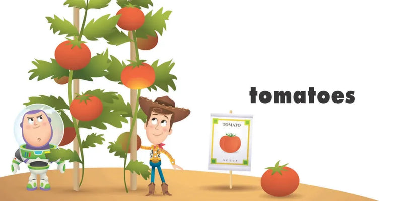 Disney Baby: Animals, Farm, Garden US - Board book