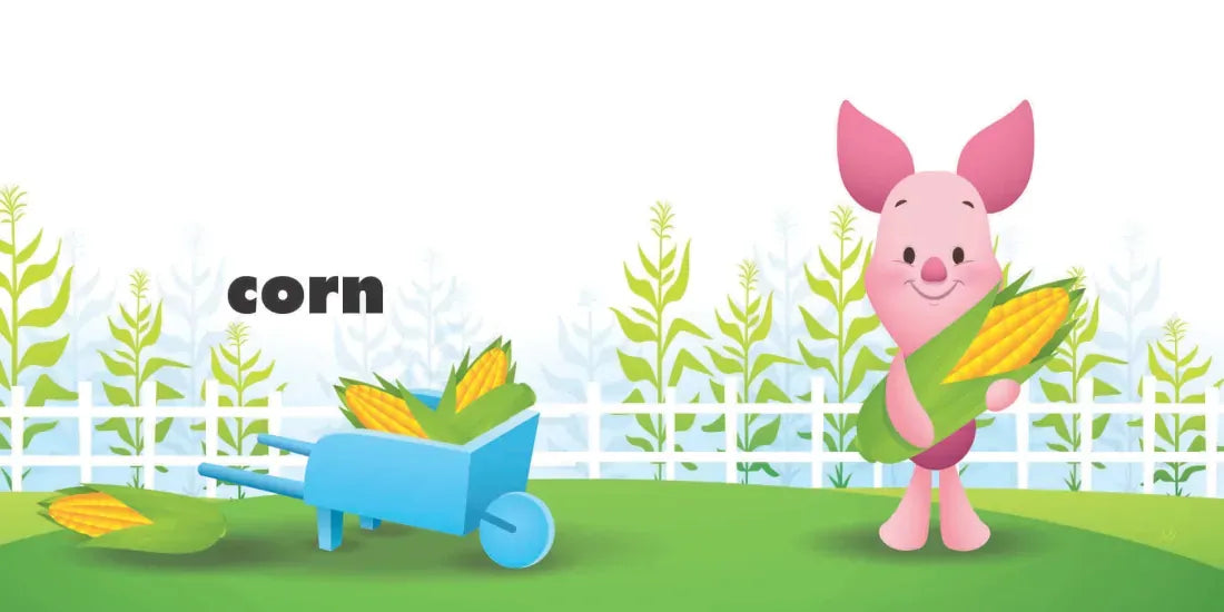 Disney Baby: Animals, Farm, Garden US - Board book