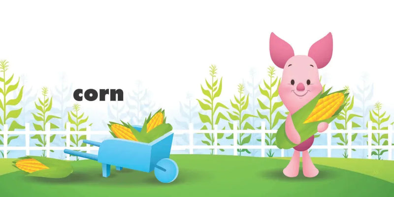 Disney Baby: Animals, Farm, Garden US - Board book