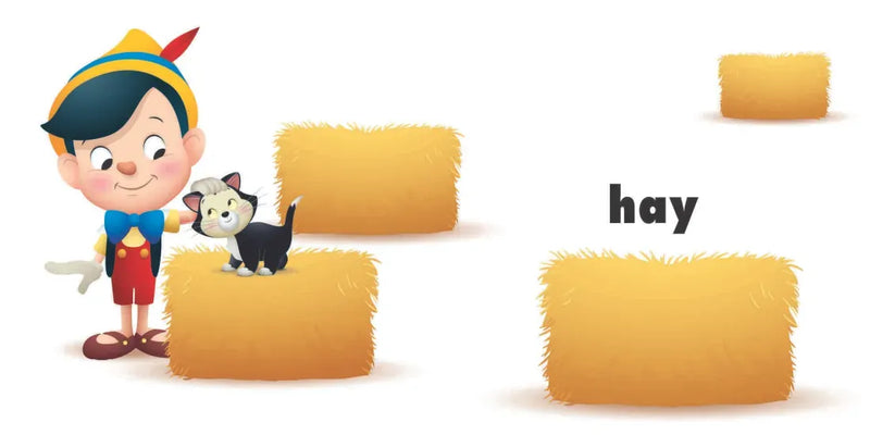 Disney Baby: Animals, Farm, Garden US - Board book