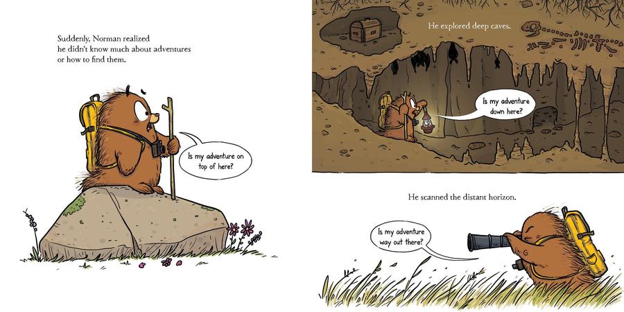 Norman and the Smell of Adventure US - Hardback