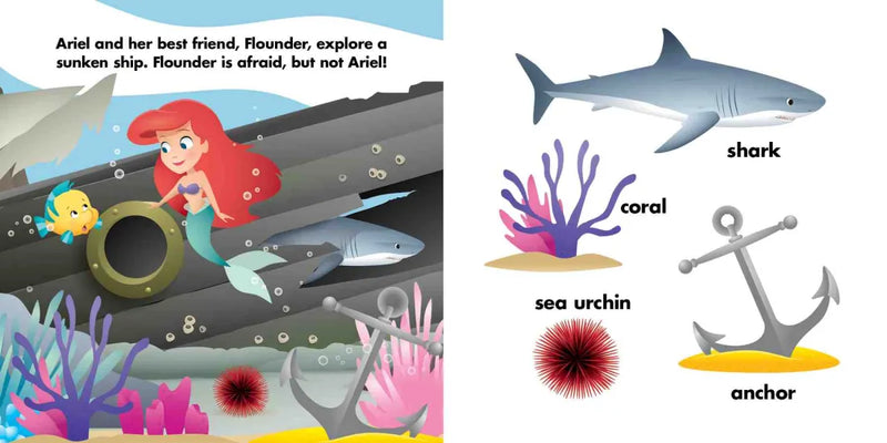 Disney Baby: Ariel Loves the Ocean US - Board book