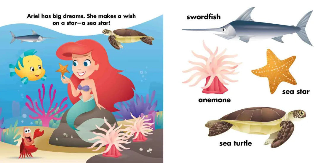 Disney Baby: Ariel Loves the Ocean US - Board book