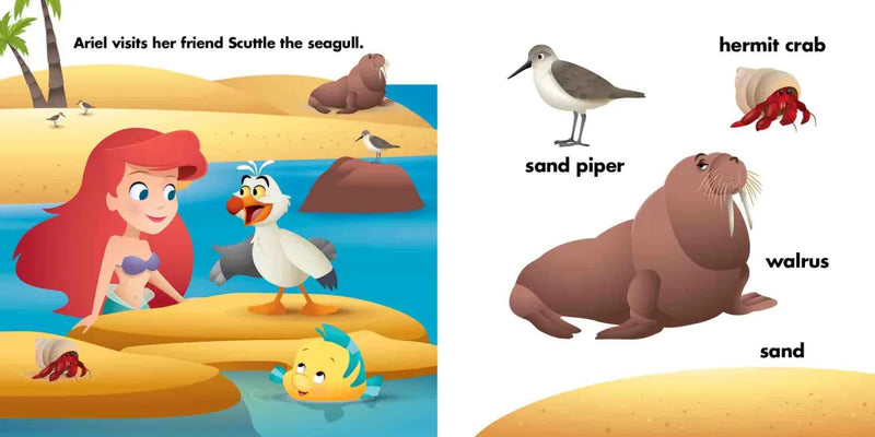 Disney Baby: Ariel Loves the Ocean US - Board book