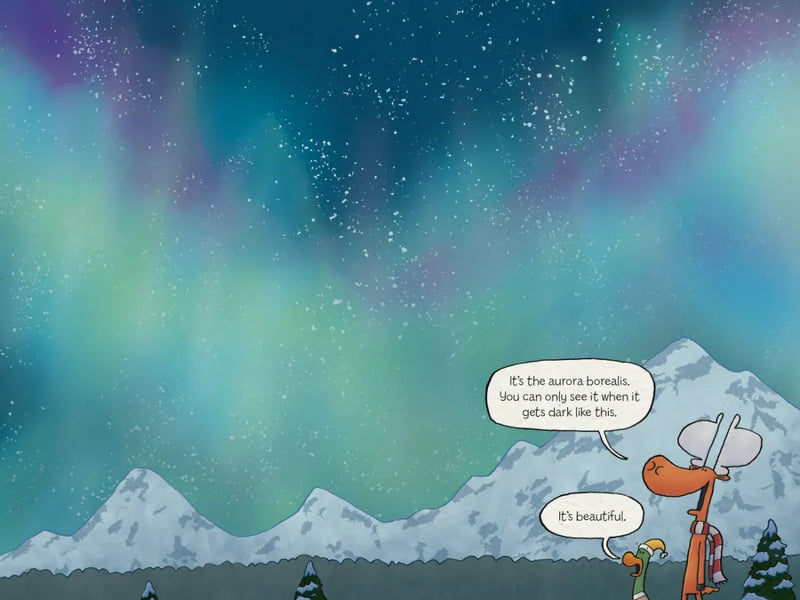 Duck and Moose: Duck in the Dark! US - Hardback