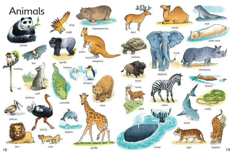 First Thousand Words in English GB - Paperback / softback