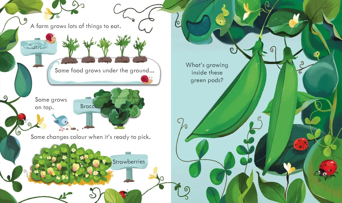 Peep Inside the Farm GB - Board book