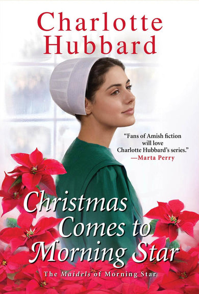 Christmas Comes to Morning Star-Fiction: Religious and spiritual-買書書 BuyBookBook
