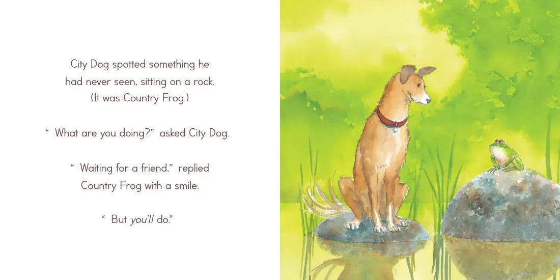 City Dog, Country Frog US - Hardback